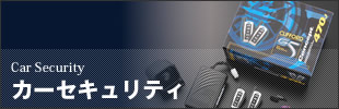 カーセキュリティ